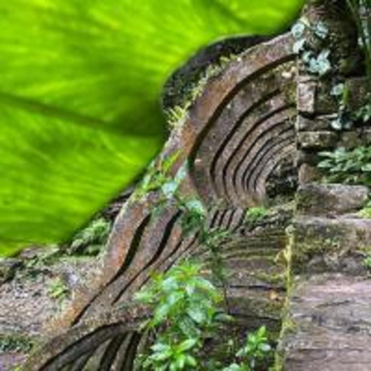 Grann Posada Xilitla Exterior photo